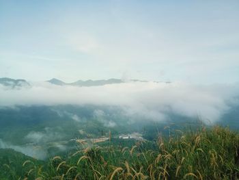 Scenic view of landscape against sky