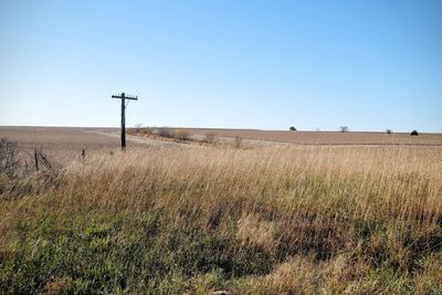 Agricultural field against clear sky