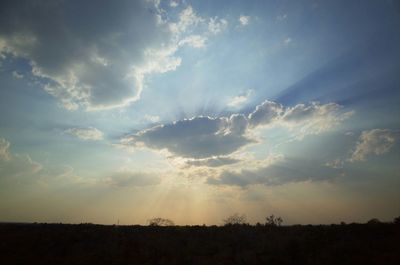 Sunset over field