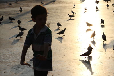 Low angle view of boy standing on beach