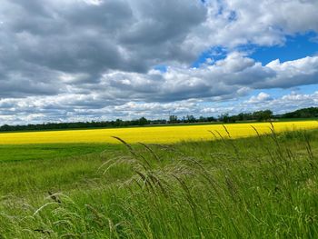 Scenic view of field against cloudy sky