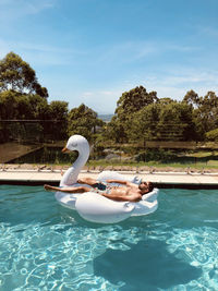 Swans swimming in pool by lake against sky