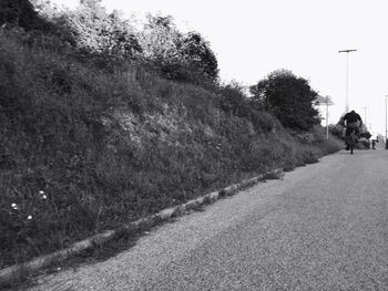 Footpath along trees