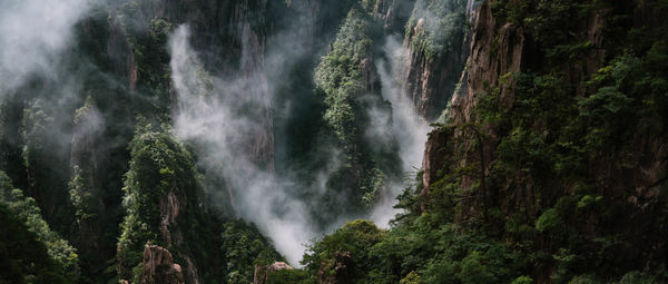 Panoramic view of waterfall in forest