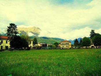 Trees on grassy field against cloudy sky