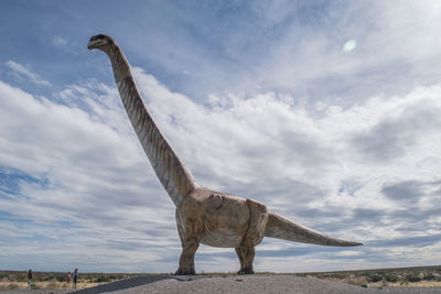 Low angle view of horse on land against sky