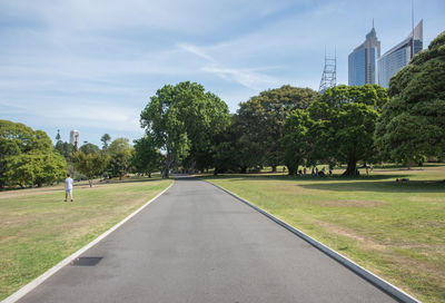 Trees in park against sky in city