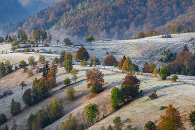 Scenic view of landscape during autumn