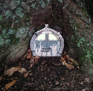 High angle view of old electric lamp on tree trunk