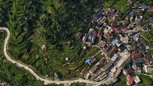 Aerial view of townscape and trees