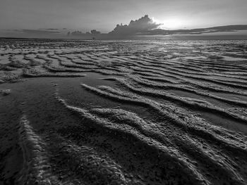 Black and white scene at the wadden sea