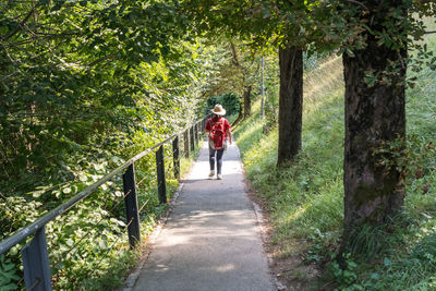 Rear view of man walking on footpath in forest