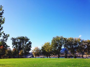 Scenic view of grassy field against blue sky