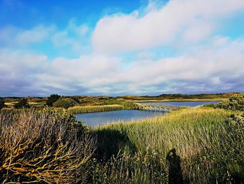 Scenic view of lake against cloudy sky