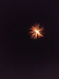 Low angle view of firework display at night