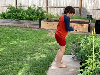 Full length of boy standing by plants