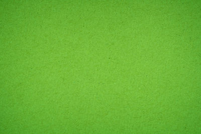 Full frame shot of green textured surface