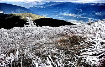 Scenic view of mountains