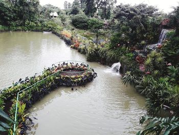 Scenic view of river amidst trees