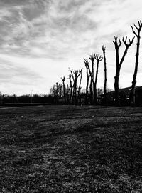 Bare trees on field against cloudy sky