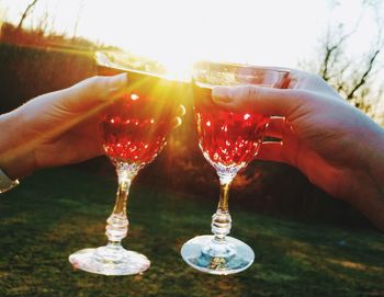 Close-up of hand holding wineglass against sky