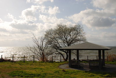 Bare tree by sea against sky