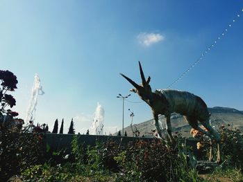 View of horse on field against sky