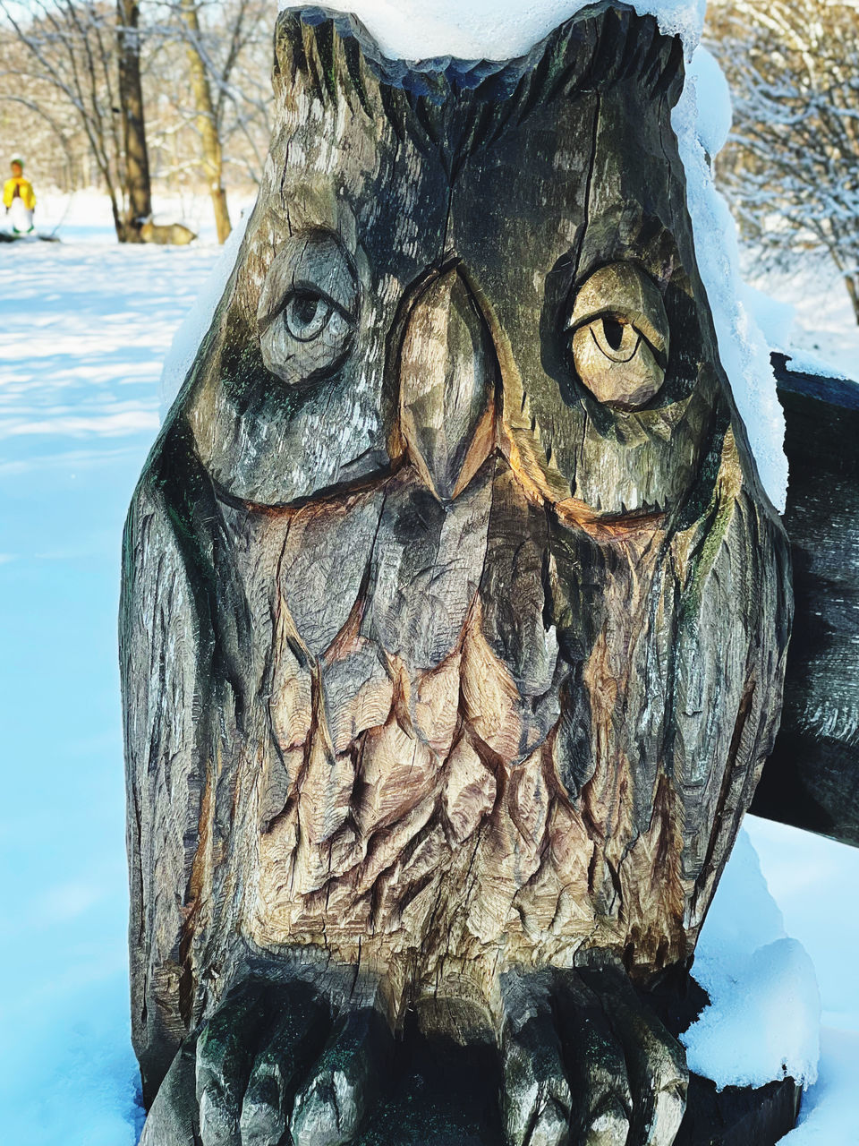 CLOSE-UP OF CARVING ON TREE TRUNK