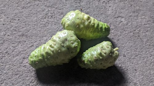 High angle view of prickly pear cactus on table