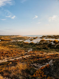 Scenic view of landscape against sky