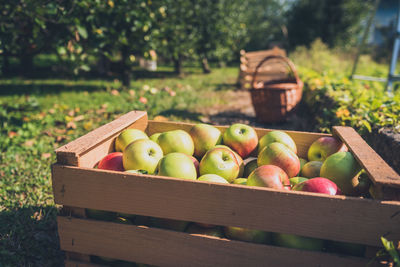 Fruits and vegetables in crate