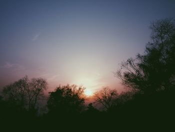 Silhouette of trees at sunset