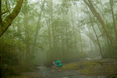 Man amidst trees in forest