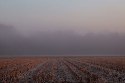 Scenic view of field against sky during foggy weather