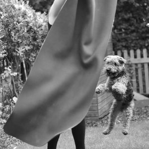 Woman playing with dog in lawn