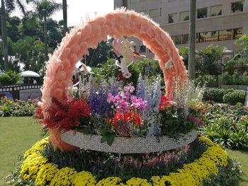 View of flowering plants in garden