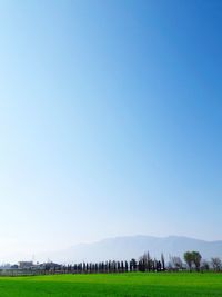 Scenic view of field against clear blue sky