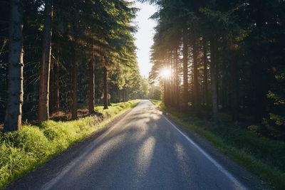 Empty road amidst trees in forest