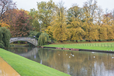 Pond in park