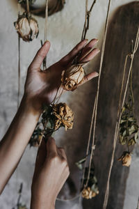 Close-up of human hand holding dry leaves