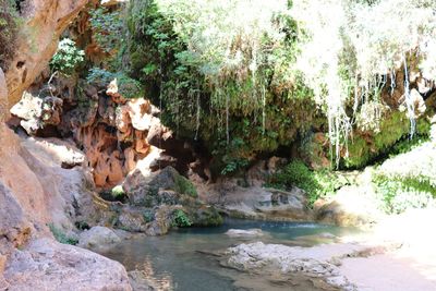 Scenic view of rocks by river in forest