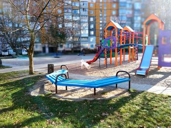 Sunny morning dog walk on the playground