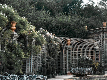 View of statue against trees and plants