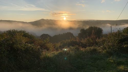 Scenic view of landscape against sky during sunset