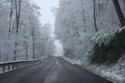 Empty road amidst trees during winter