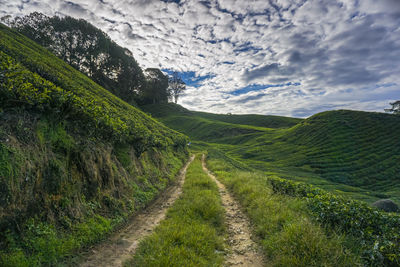 Scenic view of road amidst field against sky