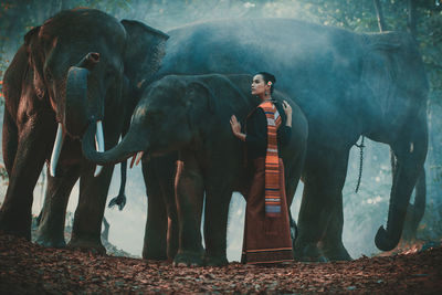 Young woman standing with elephant in forest