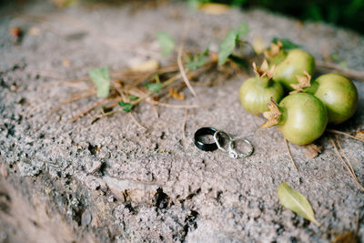 High angle view of fruits