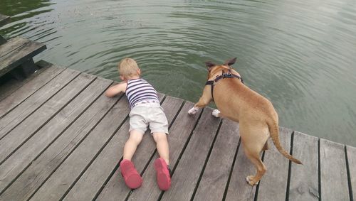 Rear view of boy with dog on jetty