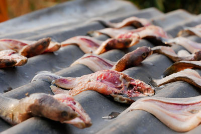 Close-up of fish for sale in market